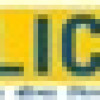 service provided lic